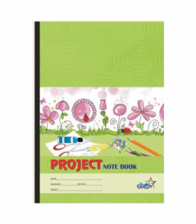 Project Notebook