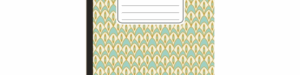 Accounts Book Register
